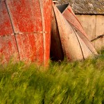 Collapsed-Old-Red-Barn