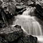 Tangle-Falls-Detail-BW
