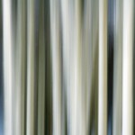 Winter-Aspens-Pan